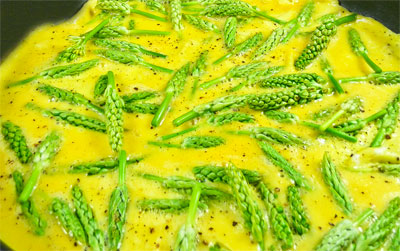 Omelette aux aspergettes